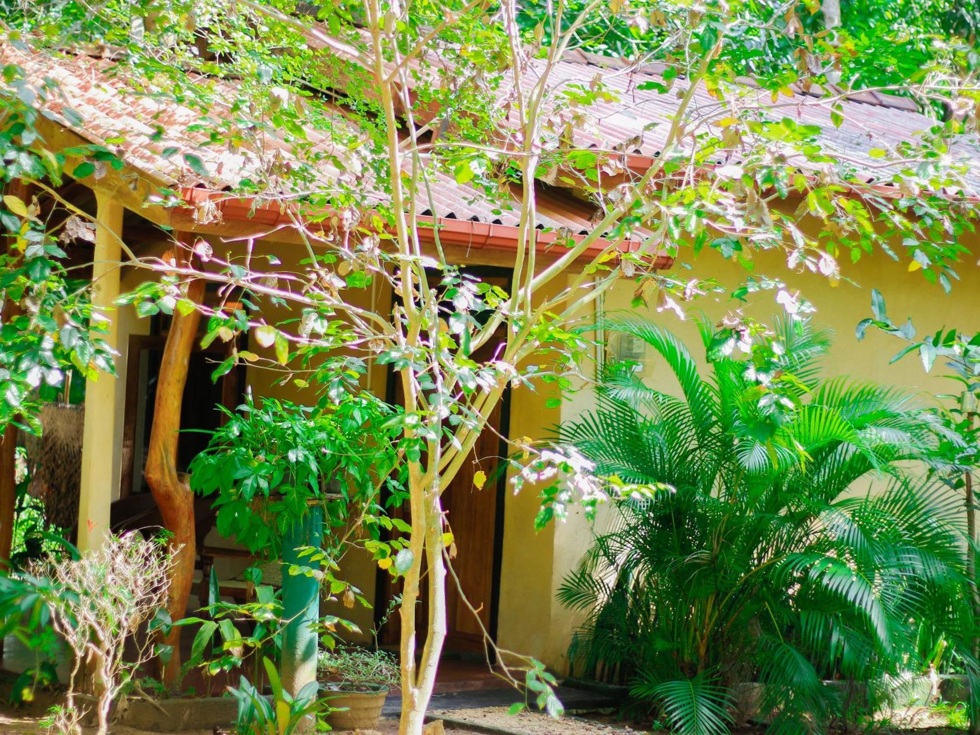 Joshua'S Cottage Sigiriya Luaran gambar